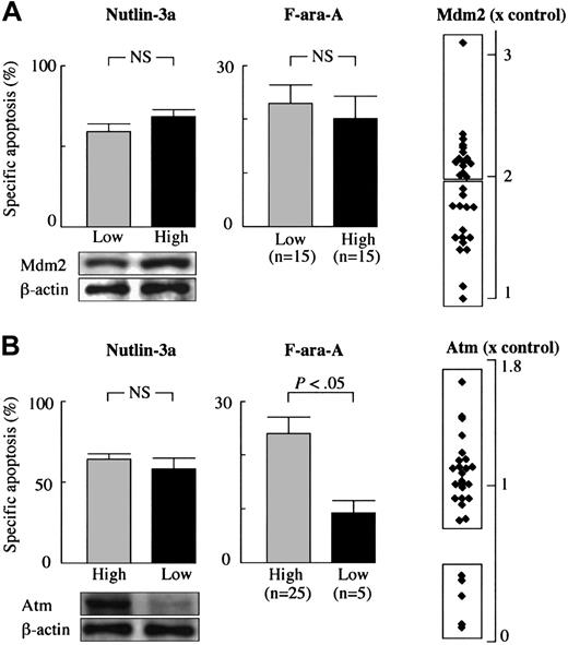 Figure 6. Nutlin-3a efficiently induces p53-mediated apoptosis in CLL cells independent of Mdm2 or Atm expression levels. (A) High levels of Mdm2 were not associated with resistance to Nutlin-3a– or F-ara-A–induced apoptosis in CLL. Mdm2 protein expression levels relative to an internal control, β-actin, were determined in each sample and compared with normal bone marrow cells. (B) Low Atm levels did not prevent Nutlin-3a from inducing apoptosis in CLL. Atm protein expression levels relative to an internal control, β-actin, were determined in each sample, and compared with normal peripheral-blood lymphocytes. Although low Atm expression was associated with fludarabine resistance in 5 cases, these samples remained sensitive to Nutlin-induced apoptosis. Error bars indicate SEM.