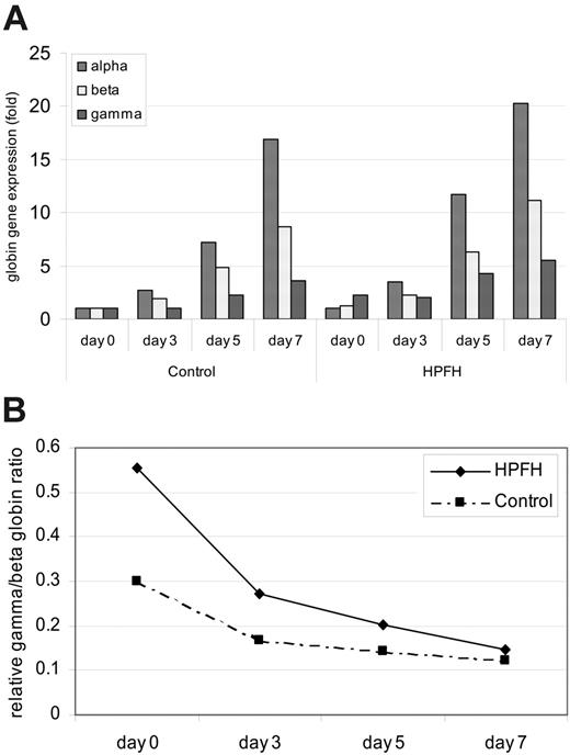 Figure 2. Globin gene expression during phase II of the erythroid cell culture. Gene expression was determined by quantitative real-time RT-PCR, and the levels are related to fold change of the gene expression of one sample after normalization with HPRT gene expression. (A) Levels represent the mean values of the 12 and 14 individuals in the HPFH and control groups, respectively. (B) Relative ratios of gamma to β-globin gene expression. The γ and β values represent the average levels of all the individuals in each group.