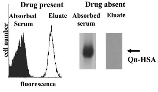 Figure 4. Demonstration of 2 distinct antibody populations in serum from patient 6. (Left) An eluate prepared from platelets following incubation with antibody reacted with platelets in the presence of drug. No detectable platelet-reactive antibody remained in the absorbed serum. (Right) The absorbed serum, but not the eluate, reacted with Qn-HSA. The eluted antibody failed to react with platelets in the absence of drug and the reaction of the absorbed serum with Qn-HSA was completely inhibited by soluble quinine (not shown).