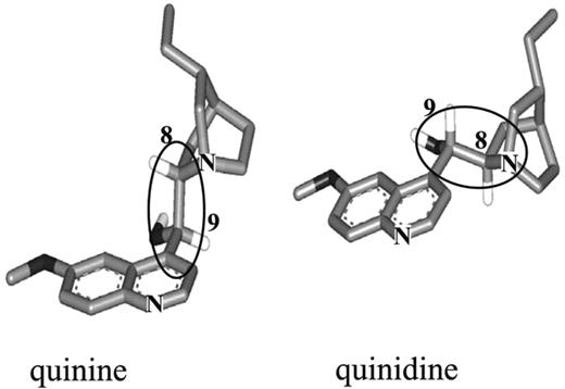 Figure 6. Structural models of quinine and quinidine. The ovals delineate the carbon bridge linking the quinoline and quinuclidine components of the molecules. Stereoisometry at the C8 and C9 positions causes the 2 molecules to assume quite different conformations in 3 dimensions.
