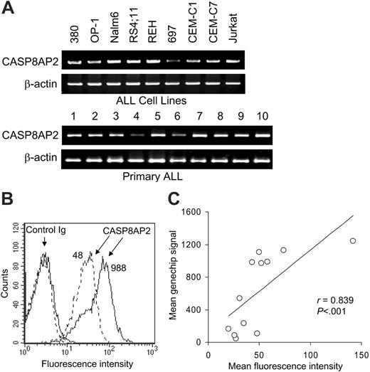Figure 1. Expression of CASP8AP2 in leukemic lymphoblasts. (A) Expression of CASP8AP2 transcripts by RT-PCR in ALL cell lines and 10 primary ALL samples. (B) Expression of CASP8AP2 protein by flow cytometry in 2 cases of ALL. Overlay histograms indicate staining with anti-CASP8AP2 antibody and with nonreactive rabbit immunoglobulin (Control Ig) in each sample. The corresponding CASP8AP2 signal by gene array in each sample is shown. (C) Relation between CASP8AP2 transcript expression by gene array and protein expression by flow cytometry. Spearman correlation coefficient is shown.