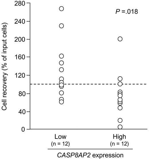 Figure 4. Cell recovery of primary ALL cells after culture on mesenchymal cell layers according to CASP8AP2 expression. Primary ALL cells, selected from cases with known CASP8AP2 levels by GeneChip, were cultured on confluent mesenchymal cells for 7 days in serum-free medium. The number of viable ALL cells recovered at the end of the cultures was compared with the number of cells originally seeded. The dashed line indicates median cell recovery for the 24 cases. P value was calculated by Wilcoxon 2-sample test.