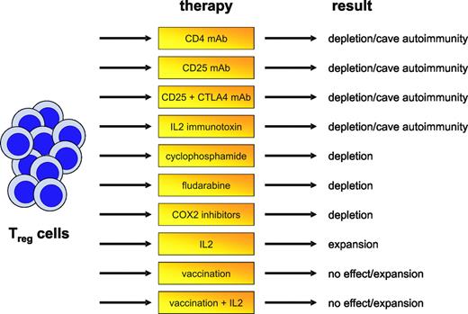 Figure 2. Influence of treatment of Treg-cell frequency. Different approaches affecting Treg-cell frequencies and function have been proposed in recent years and tested either in murine models or first clinical trials. Targeting of Treg cells in human tumors, however, does not always result in reduced Treg-cell numbers but may also, under given circumstances, be linked to the induction of autoimmunity or the expansion or development of Treg cells.