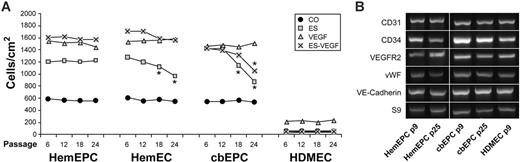 Figure 3. Effect of long-term culture on the ES response. (A) Analysis of the ES- and VEGF-induced migration of the cells at passages 6, 12, 18, and 24. (*P < .05 compared with passage 6 and 12; n = 3/treatment.) (B) RT-PCR analysis of EC markers at passage 9 and passage 25. HDMECs served as a positive control.