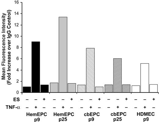 Figure 4. E-selectin expression in EPCs. Flow cytometric analysis of E-selectin expression in HemEPCs, cbEPCs, and HDMECs; HemEPCs and cbEPCs were assayed at passage 9 and passage 25. Cells were treated with media alone, TNF-α (10 ng/mL), or ES (10 ng/mL) for 5 hours prior to harvesting for analysis.