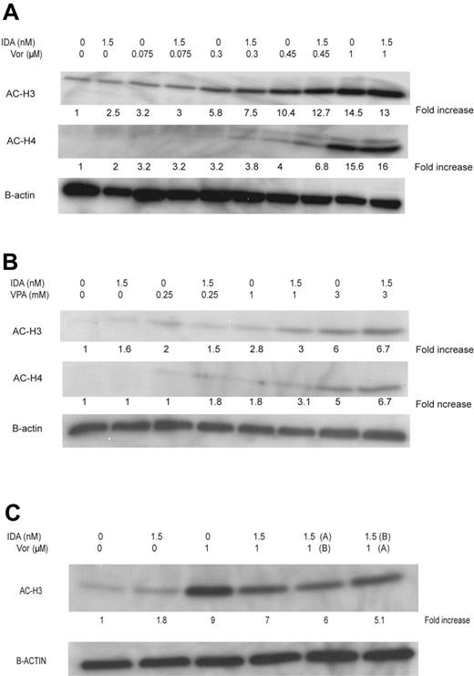 Figure 5. Induction of histone H3 and H4 acetylation. HL60 cells were treated with (A) vorinostat (Vor) at increasing concentrations or (B) VPA. The effect on the sequence of IDA with vorinostat using concentrations of 1 μM of vorinostat and IDA at 1.5 nM administered concomitantly, or with IDA preceding vorinostat (IDA, A; vorinostat, A-B) or the reverse (IDA, B; vorinostat, A), were studied (C).