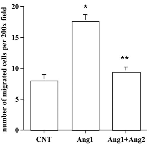 Figure 5. Ang2 antagonized Ang1 stimulation of endothelial cell–induced SMC migration. HUVECs were infected with a control vector, AdAng1, and AdAng1 plus AdAng2 for 48 hours. SMC migration was evaluated with the EC-SMC coculture assay. Migrated SMCs were counted in randomly selected fields. Experiments were repeated at least 3 times in more than 2 wells for each treatment. Five fields were counted for each filter in each experiment. *P < .01 compared with control. **P < .01 compared with Ang1 group.