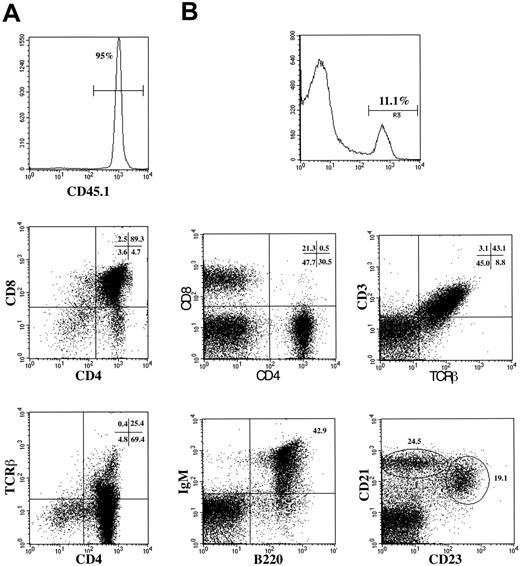 Figure 4. Thymus and T- and B-cell reconstitution. (A) Thymus reconstitution by EPLM from Flt3L-treated mice. A total of 2 × 104 EPLM from C57Bl/6CD45.1 mice were injected intravenously into C57Bl/6.Rag2–/–.Ly5.2 recipients. Three weeks after injection, the thymus contained 95% CD45.1+ cells (left histogram). The cytogram displays show the CD4 versus CD8 (middle panel) and CD4 versus TCR-β distribution on gated CD45.1+ cells. The figures in each panel indicate the percent cells in each quadrant. (B) EPLM reconstitute both T and B spleen cells. Shown are results of staining spleen cells from C57Bl/6.Rag2KO.Ly5.2 mice 7 weeks after reconstitution with 2 × 104 sorted EPLM from C57Bl/6.Ly5.1 Flt3L-treated mice. The spleen contained 11.1% donor derived CD45.1+ cells (top histogram) and cytogram displays show the CD4 versus CD8 (top left), CD3 versus TCR-β (top right), B220 versus IgM (lower left), and CD23 versus CD21 (bottom right) distribution on gated CD45.1+ cells. Figures in each panel represent the percent positive cells in each quadrant. In the lower right cytogram, the regions show the 19.1% CD23+CD21+ FB and 24.5% CD23–CD21+ MZB cells.