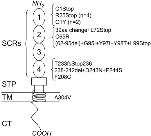 Figure 2. Summary of MCP mutations in non-Stx–HUS patients from our registry. The corresponding number of mutational events is indicated in parentheses. SCR indicates short consensus repeat; STP, serine-threonine-proline–rich domain; TM, transmembrane domain; and CT, cytoplasmic tail.