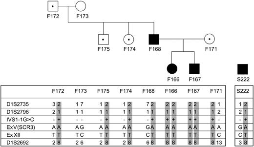 Figure 3. Haplotype analysis on markers flanking MCP gene of family no. 099 and of patient S222 212, both of Sardinian origin, showing that a common allele carrying the mutation is present. The mutation is present in homozygosity in 2 affected siblings (F166 099 and F167 099) in family no. 099 from nonconsanguineous parents, both carrying the mutation in heterozygosity. Of note, the 2 siblings developed HUS very early in life (before 4 years of age) whereas their father (F168 099) developed HUS in adulthood and their mother is still healthy. Three other healthy family members carry the mutation in heterozygosity (marked with ·). Circles indicate females; squares, males; filled symbols, affected individuals; and open symbols, unaffected individuals.