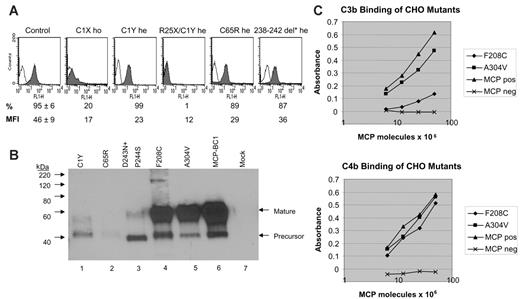 Figure 4. Expression and functional studies on MCP mutants. (A) Flow cytometry analysis of MCP (CD46) expression in PBMCs from 5 mutation carriers (C1X ho: patient F166 099, homozygous for the IVS1 –1G>C mutation; C1Y he: unaffected healthy carrier of family no. 024, heterozygous for the 147G>A mutation, mother of patients F106 and F108; R25X/C1Y: patient F106 24, compound heterozygous for the 218C>T and 147G>A mutations; C65R he: patient S207 199, heterozygous for the 338T>C mutation; 238-242del* he: patient S045 169, heterozygous for the 858-872del 15bp+875C>T mutation) and from healthy controls (Control, n = 6). Percentages of CD46+ cells and median fluorescence intensity (MFI) are presented (control: mean ± SD). PBMCs separated by density gradient centrifugation were incubated with an FITC-conjugated mouse anti–human CD46 monoclonal antibody (mAb) or with FITC-mouse IgG1 (isotype control, empty curve) and analyzed by FACSort. 238-242del* indicates deletion of 238-242 amino acids+D243N+P244S; ho, homozygous; and he, heterozygous. No PBMCs could be obtained from patients carrying the 39–amino acid change + L72Stop, the 62-95del+G96I+Y97I+Y98I+L99Stop, or the F208C or A304V mutations. (B) Western blot of CHO cell lysates probed with a rabbit polyclonal Ab to MCP. Lane 6 shows the phenotype of wild-type MCP as expressed by transfected CHO cells.29 Lanes 1 to 5 are the MCP mutations identified in HUS patients. The precursor form is predominant for the C1Y, C65R, and D243N+P244S mutants, indicating an altered folding with minimal processing to the mature form so that the proteins do not get expressed on the cell surface. Both the C1Y and C65R mutants give a faint signal on Western blot, likely due to degradation of unstable precursor protein. The F208C and the A304V mutations show a normal phenotype on Western blot. Lane 7 is a CHO cell not expressing MCP. (C) C3b (left) and C4b (right) binding activity of MCP derived from lysates of CHO cells. F208C and A304V indicate CHO cells expressing these mutants; MCP pos, CHO cells transfected with wild-type MCP; and MCP neg, CHO cells not expressing MCP. An ELISA format was used for ligand binding in which C3b or C4b were coated onto wells of a microtiter plate. Binding assay was performed using diluted CHO extracts (5 × 106 to 25 × 106 MCP molecules as quantified in ELISA). Data are from 1 representative experiment of 6.