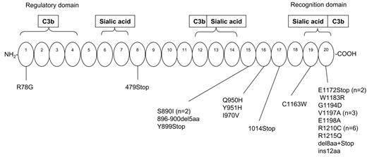 Figure 5. Summary of CFH mutations in non-Stx–HUS patients from our registry. The corresponding number of mutational events is indicated in parentheses.