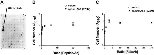 Figure 4. Determination of Ab1 epitope sequence and peptide competition study. (A) Ab1 immunoblot on a display of overlapping 8 amino acid synthetic peptides derived from the CD148 ectodomain sequence used for immunization. Ab1 specifically reacted to the sequence QSRDTEVL. (B-C) Stable CHO cell line was plated, serum-depleted, and cultured in growth medium supplemented with either no addition (□) or with Ab1 (67 nM, •) in combination with the indicated molar ratios of peptide, biotin-SGSGQSRDTEVL (synthesized by Chiron Technologies, Clayton, Australia) (B) or Ab1.Fab (C). Cell numbers were assessed at day 2 and day 4 as described in “Materials and methods.” Cell numbers at day 4 are shown. Both peptide and Ab1.Fab effectively antagonized growth inhibitory activity of Ab1 at molar ratios exceeding 3-fold that of Ab1. The data in panels B and C are means ± SEM of quadruplicate determinations.