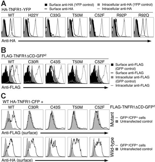 Figure 4. Mutant TNFR1 do not traffic to the plasma membrane. (A) 293T cells were transiently transfected with the indicated full-length wild-type (WT) or mutant TNFR1-YFP fusion constructs with N-terminal HA tags. Live or fixed and permeabilized cells were then stained with anti-HA followed by anti–mouse PE and analyzed by flow cytometry. The histograms are gated on the YFP+ cells that were live according to forward- and side-scatter characteristics. (B) 293T cells were transfected as with ΔCD FLAG-TNFR1-GFP2 and stained as in panel A with anti-FLAG. The filled gray and black areas in panels A and B represent cells transfected with a YFP expression vector and stained as in panel A. (C) N-terminal HA-tagged WT TNFR1-CFP was cotransfected with wild-type or the indicated mutant N-terminal FLAG-tagged TNFR1-ΔCD-GFP2. Cells were surface stained with anti-HA and anti-FLAG antibodies and analyzed by flow cytometry. Plots shown are gated on the CFP+GFP+ population.