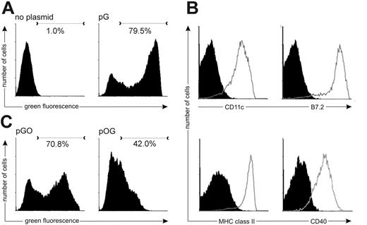 Figure 2. DCs nucleofected with OVA-encoding plasmids have a highly activated phenotype. At 20 hours after the nucleofection, DCs were collected and analyzed for viability, green fluorescence, and activation markers. (A) Viable (7-AAD–) DCs nucleofected with GFP-encoding plasmid or without any plasmid were analyzed for green fluorescence. (B) The surface expression levels of CD11c, B7.2 (CD86), MHC class II, and CD40 (gray open histograms) were analyzed from viable cells. Appropriate staining controls are shown as black histograms. (C) DCs nucleofected with pGO become more brightly green fluorescent than DCs expressing pOG.