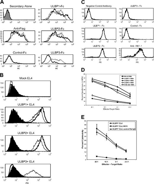 Figure 1. ULBP1 and ULBP2, but not ULBP3, bind to murine NKG2D and elicit killing by murine NK cells in vitro. (A) Soluble forms of ULBP1 and ULBP2, but not ULBP3, bind to cells transfected with murine NKG2D/DAP10. CV-1 cells were cotransfected with cDNAs encoding human (gray histograms) or murine (black histograms) NKG2D and flag-tagged human DAP10. Cells were stained with anti-FLAG followed by anti–murine IgG-PE, anti–murine IgG-PE alone, or with ULBP1-Fc, ULBP2-Fc, ULBP3-Fc, or p7.5-Fc negative control protein followed by anti–human IgG-PE, and analyzed by flow cytometry. (B) Murine NKG2D-Fc binds to cells transfected with ULBP1 or ULBP2, but not ULBP3. EL4 cells were transduced with cDNAs encoding ULBP1, ULBP2, or ULBP3. Cells were incubated with murine NKG2D-Fc (thick line), human NKG2D-Fc (thin line), or negative control p7.5-Fc (filled histogram) followed by anti–human IgG-PE and analyzed by flow cytometry. (C) Soluble forms of ULBP1 and ULBP2, but not ULBP3, bind to murine NK cells. Splenocytes from C57BL/6 SCID mice were cultured in rhuIL-15 to enrich NK cells. Cells were incubated with the indicated Fc proteins, followed by anti–human IgG-PE and analyzed by flow cytometry. More than 90% of the cells in the live gate were positive for NK1.1, an NK-cell marker, but did not stain with isotype-matched negative control antibody. (D) Enhanced in vitro cytotoxicity of murine NK cells against RMA cells transduced with ULBP1 or ULBP2, but not ULBP3. RMA cells expressing vector alone (▪), ULBP1 (•), ULBP2 (▴), ULBP3 (○), or RAE-1β (□) as a positive control were tested as targets in cytotoxicity assays using murine NK cells as effectors. (E) In vitro cytotoxicity of murine NK cells against EL4 cells transduced with ULBP1 (•) is blocked by 20 μg/mL M315 rat IgG1 anti–murine NKG2D monoclonal antibody (▪) but not by 20 μg/mL M139 isotype control (▴). Each data point in panels D-E represents the average of triplicate samples, and error bars represent 1 SD from the mean for triplicate wells. Results shown in panels A-E are each representative of 2 or more independent experiments.