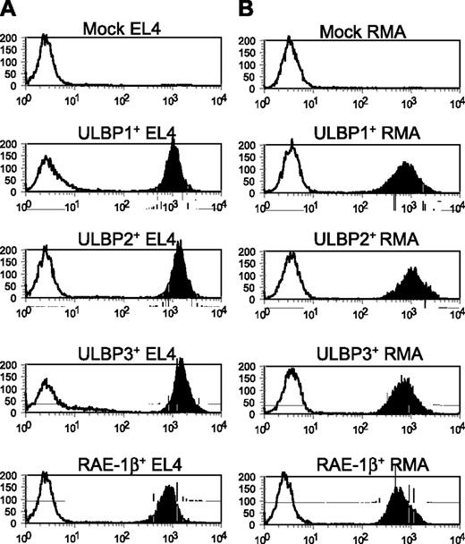 Figure 2. Generation of ULBP-expressing tumor cell lines. EL4 (A) and RMA (B) tumor cells expressing either empty vector (mock), ULBP1, ULBP2, ULBP3, or the murine NKG2D ligand RAE-1β were generated by retroviral-mediated gene transfer. Cells were single-cell sorted to obtain clones. Mock-transduced clones were identified by reverse-transcription (RT)–PCR. ULBP-expressing clones were stained with anti-ULBP1, anti-ULBP2, anti-ULBP3–specific (black histograms), or M230 isotype control antibody (white histograms), followed by anti–mouse IgG-PE. RAE-1β–expressing clones were stained with murine NKG2D-Fc (black histograms) or p7.5-Fc control (white histograms), followed by anti–human IgG Fc. Clones were analyzed by flow cytometry. Twenty positively expressing clones for each construct were pooled and used for future experiments. Staining of the pooled clones is shown.