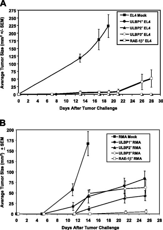 Figure 3. Tumor cells that express ULBPs are rejected in syngeneic mice. C57BL/6 mice were challenged subcutaneously with 3 × 105 EL4 (A) or RMA (B) tumor cells expressing ULBP1 (•), ULBP2 (▴), ULBP3 (○), RAE-1β (□), or vector alone (▪). Tumor sizes were measured and mean tumor size (± SEM) was calculated from all surviving mice in each group. (A) Ten of 10 mice that received EL4 mock cells developed tumors and were humanely killed on day 18 due to tumor burden; none of the mice (n = 10/group) that received ULBP1-, ULBP2-, or ULBP3-expressing EL4 cells grew tumors; 3 of 10 mice that received RAE-1β–expressing EL4 cells developed tumors, and one was humanely killed at day 26 due to tumor burden. (B) Six of 6 mice that received RMA mock cells developed tumors and were humanely killed on day 14; 7 of 9, 5 of 7, 6 of 8, and 1 of 8 mice that received ULBP1-, ULBP2-, ULBP3-, or RAE-1β–expressing RMA cells, respectively, grew tumors. Data are representative of 4 independent experiments.