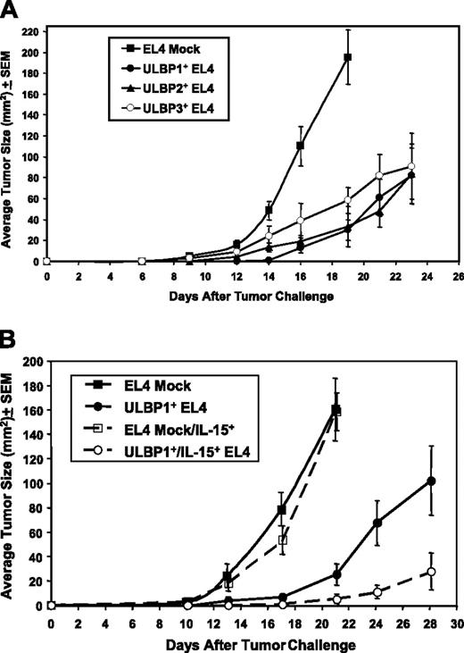 Figure 4. EL4 cells expressing ULBPs are partially rejected in C57BL/6 SCID mice; IL-15 enhances the rejection. (A) C57BL/6 SCID mice were challenged subcutaneously with 3 × 105 EL4 cells expressing vector alone (▪), ULBP1 (•), ULBP2 (▴), or ULBP3 (○). The number of tumor-bearing animals at the end of the experiment was 10 of 10 for EL4 mock, 8 of 10 for ULBP1+ EL4, 8 of 10 for ULBP2+ EL4, and 9 of 10 for ULBP3+ EL4. The EL4 mock mice were humanely killed on day 19 due to tumor burden. (B) C57BL/6 SCID mice were challenged as in panel A with EL4 mock cells (▪), EL4 mock–expressing IL-15 (□), EL4-expressing ULBP1 (•), or EL4-coexpressing ULBP1 and IL-15 (○). Mean tumor size (± SEM) was calculated from all of the mice. The number of tumor-bearing animals at the end of the experiment was 8 of 9 for EL4 mock, 7 of 7 for EL4 mock/IL-15+, 7 of 8 for ULBP1+, and 3 of 7 for ULBP1+/IL-15+. The EL4 mock and EL4 mock/IL-15+ mice were humanely killed on day 21 due to tumor burden. Data are representative of 3 independent experiments.