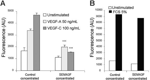 Figure 6. SEMA3F inhibits HMVEC migration induced by VEGF-A and VEGF-C. HMVECs were seeded in triplicate in the upper wells of fluoroblok chambers in the presence of either control or SEMA3F–concentrated media. RPMI alone or RPMI containing either VEGF-A (50 ng/mL) or VEGF-C (100 ng/mL) (A) was added in the bottom wells. Data are shown as mean ± SEM. ***P < .001 versus the respective stimulation of cells incubated with the control media. (B) The bottom wells were filled with RPMI containing 5% FCS. The day after, cells were labeled with calcein, and the fluorescence corresponding to migrating cells was quantified. Results are representative of 2 independent experiments.