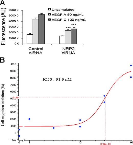 Figure 7. NRP2 knock-down inhibits HMVEC migration induced by VEGF-A and VEGF-C. (A) Migration assay of HMVECs transfected with control or NRP-2 siRNA. After 36 hours, transfected cells were seeded in triplicate in the upper wells of a fluoroblok chamber. RPMI alone or containing VEGF-A 50 ng/mL or VEGF-C 100 ng/mL was added in the bottom wells. The amount of migrating cells was quantified using calcein labeling. Data are shown as mean ± SEM. (B) HMVEC migration induced by VEGF-C 100 ng/mL in the presence of increasing doses (1-100 nM) of CEP5214 kinase inhibitor. Results are representative of 3 independent experiments.