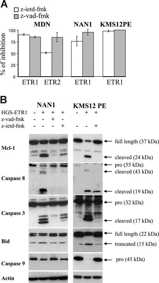 Figure 6. Caspase inhibitors z-VAD-fmk and z-IETD-fmk prevent HGS-ETR1– and HGS-ETR2–induced myeloma killing and Mcl-1L cleavage. (A) NAN-1 and MDN (125 000 cells/0.25 mL in 96-well plates) were cultured for 48 hours with or without (control) 0.6 mg/mL HGS-ETR1 or HGS-ETR2 mAb in the presence or absence of 50 mM caspase inhibitors. (B) Myeloma cells (4 million/8 mL) cultured with (NAN-1) or without (KMS12PE) 3 ng/mL IL-6 were treated for 7 hours with 0.6 μg/mL HGS-ETR1 mAb in the presence or absence of 50 μM caspase inhibitors.