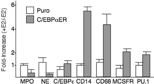 Figure 4. C/EBPα-ER favors monocytic development as assessed by RNA analysis. Total cellular RNAs were isolated from marrow cells transduced with pBabePuro or pBabePuro-C/EBPαER followed by lineage-depleted, and culture with or without 1 μM E2 for 2 days. After first-strand cDNA synthesis, quantitative PCR was carried out in 3 separate runs for the indicated mRNAs and GAPDH. Fold increase was calculated as the ratio of normalized signal with E2/without E2. Mean values and SE are shown.