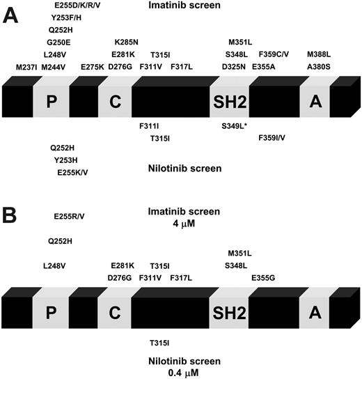 Figure 3. Nilotinib produces a limited set of Bcr-Abl kinase domain mutations. The position of identified mutations within the Bcr-Abl kinase domain is shown for imatinib mesylate (above) and nilotinib (below). Point mutations that were identified in imatinib mesylate–resistant clones were described previously and are shown for comparison.33 (A) Twenty-six exchanges affecting 21 different positions were identified in cell clones resistant to 1, 2, or 4 μM imatinib mesylate (above). With nilotinib at 150, 200, 300, or 400 nM, 9 exchanges at 7 positions were found (below). S349L was identified in conjunction with Q252H. *Q252H/S349L double mutant. (B) Resistance mutations identified using imatinib mesylate at 4 μM (above) compared with 400 nM nilotinib (below).