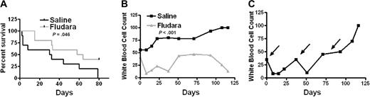 Figure 5. Survival analysis and white blood cell counts of TCL-1 leukemic mice after fludarabine treatment. (A) Kaplan-Meier survival curve of TCL-1 leukemic mice treated with fludarabine (34 mg/kg intraperitoneally). (B) White blood cell count as determined on blood smear of TCL-1 leukemic mice treated with fludarabine (34 mg/kg intraperitoneally) versus saline control. (C) White blood cell count as determined on blood smear of 1 TCL-1 leukemic mouse treated with fludarabine (34 mg/kg intraperitoneally). Arrows indicate day 1 of 5 days of fludarabine treatment.