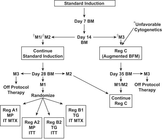 Figure 1. CCG 1952 treatment schema. *t(9;22)(q34;q11), t(4;11)(q21;q23), or hypodiploidy with fewer than 45 chromosomes. †See “Treatment protocol” for definitions.