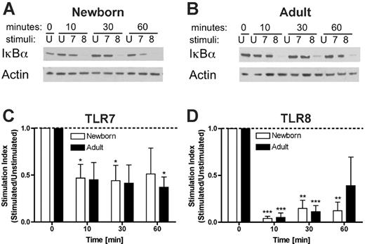 Figure 7. TLR8 agonists induce profound and prolonged degradation of IκB-α. Purified neonatal or adult monocytes were cultured in 100% autologous serum and incubated for the indicated number of minutes with buffer control (ie, unstimulated, U) or with 50 μM of the pure TLR7 agonist 3M-013 (7) or the pure TLR8 agonist 3M-002 (8) prior to lysis in sodium dodecyl sulfate-polyacrylamide gel electrophoresis (SDS-PAGE) buffer, electrophoresis, and Western blotting for IκB-α. Autoradiograms were scanned and digital intensity analyzed as described in “Materials and methods.” Representative autoradiograms are shown in panels A and B. Composite densitometric analysis expressed as a stimulation index (ie, density of IκB-α in the stimulated condition divided by that in the unstimulated condition) demonstrates that whereas TLR7 agonist-induced degradation of IκB-α in neonatal monocytes was of modest extent (∼50%) and duration (< 60 minutes; C), TLR8 activation was associated with profound (∼90%) and prolonged (≥ 60 minutes) disappearance of IκB-α (D). Statistical comparisons are made within groups (□, newborns; ▪, adults) in relation to the unstimulated condition (defined as 1.0). n = 4, *P < .05; **P < .01, ***P < .001.
