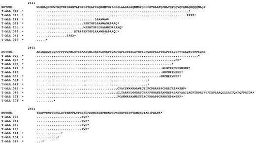 Figure 2. NOTCH1 PEST domain mutations. Nonsense mutations are indicated by an asterisk behind the last amino acid. Frame-shift mutations with the elongated abnormal reading frame are indicated. All numbers correspond to position of amino acid residues in human pro-NOTCH1 protein, including the signal peptide. Novel NOTCH1 mutations are indicated by an asterisk next to the sample identification number.
