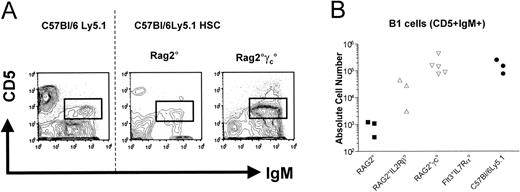 Figure 4. Peritoneal cavity B1 cells from engrafted mice. Cells were stained for CD45.1, IgM, and CD5. (A) Profiles of CD5 and IgM expression on gated CD45.1+IgM+PI– cells are presented. One representative analysis of at least 3 experiments is shown. Absolute cell numbers are given in panel B. (B) The absolute cell numbers of the indicated cells found in the respective recipient mice are presented. The dotted line separates flow cytometric results from unmanipulated C57Bl/6 Ly5.1 mice and those from reconstituted recipient mice.