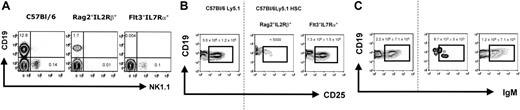 Figure 6. Endogenous BM B cells from Rag2°IL2Rβ° and Flt3IL7Rα° mice and B cells generated after reconstitution of these recipient mice. (A) CD19 versus NK1.1 profile of the bone marrow cells of the different recipient mice. Shown are CD3-negative bone marrow lymphocytes. Note that the CD19+ in the C57Bl/6 mouse contain Ig– precursor (pro– and pre–B cells) as well as Ig+ immature and mature B cells, while in the Rag2°IL2Rβ° mouse CD19+ cells only comprise pro–B cells, as B-cell development is arrested at the transition of the pro– to pre–B-cell stage (according to Hardy et al17) due to the Rag2-mutation. Absolute cell numbers for CD19+ and NK1.1+CD3– cells are given. (B) CD19 versus CD25 profiles. Phenotype of the bone marrow B cells from reconstituted Rag°IL2Rβ° and Flt3IL7Rα° mice, then weeks after transplantation with 1 × 104 sorted Lin–cKit+Sca1+ cells from wild-type C57Bl/6Ly5.1 mice. Age-matched C57Bl/6Ly5.1 mice were used for control. (C) Profiles of CD19 versus IgM. Shown are CD45.1+PI– cells falling in a lymphocyte gate. One representative analysis of at least 3 experiments is shown. Numbers indicate the absolute cell number in the respective quadrant. The dotted line separates the flow cytometric results from the unmanipulated C57Bl/6Ly5.1 from that of the reconstituted recipient mice.