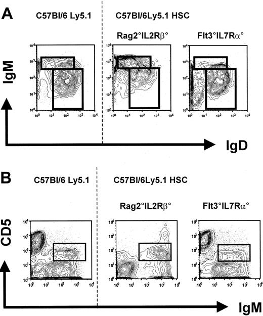 Figure 7. Peripheral B cells from reconstituted Rag2°IL2Rβ° and Flt3IL7Rα° mice 10 weeks after transplantation with Lin–cKit+Sca1+CD45.1+ wild-type cells. Age-matched C57Bl/6Ly5.1 mice were used as controls. (A) IgM and IgD profiles on gated CD45.1+CD19+PI– splenic cells of the indicated mice. Absolute cell numbers are given in Figure 3B. (B) Peritoneal cavity B1 cells from engrafted mice. Cells were stained for CD45.1, IgM, and CD5. Data represent profiles of CD5 and IgM expression on gated CD45.1+IgM+PI– cells. One representative analysis of at least 3 experiments is shown. The dotted line separates the flow cytometric results from the unmanipulated C57Bl/6Ly5.1 from that of the reconstituted recipient mice. Absolute cell numbers are given in Figure 4B.