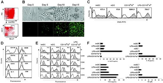 Figure 1. ESSCs induce BM HSC differentiation into CD11bhiIalo DCs. (A) HSCs were purified by FACSDiva according to the phenotype of HSCs. Flt3–Lin– bone marrow cells were first gated and further gated by using the marker of CD117 and Sca-1, and, finally, Lin–Flt3–CD117+Sca-1+cells were sorted as HSCs. (B) The morphology of HSCs were differentiated in clonal formation assay from small round to large DC-like cells. Photos were taken by a digital imaging system on the indicated days. Top panel (×400), HSC from normal mice. Bottom panel (×100), HSCs from GFP transgenic mice. Photos were taken with a Leica DMZRB (Leica, Wetzlar, Germany) using Meta Imaging Series 5.0 (Molecular Devices, Downingtown, PA). Images in the top panel were taken with a 40×/0.55 NA objective; those in the lower panel, with a 10×/0.25 objective. (C) The phagocytic ability of imDCs, mDCs, DC-like cells (CD11bhiIalo), and LPS-treated DC-like cells (LPS-CD11bhiIalo) as tested by measuring OVA-FITC phagocytosis using FACS. Filled histograms represent imDCs, mDCs, DC-like cells (CD11bhiIalo), or LPS-treated DC-like cells (LPS-CD11bhiIalo) cultured with 100 μg/mL OVA-FITC at 37°C for 2 hours and were marked with geometric mean fluorescence. Open histograms represent cells cultured with 100 μg/mL OVA-FITC at 4°C for 2 hours as a control. One of at least 3 independent experiments with similar results is shown. (D) The expression of lineage markers on the surface of DC-like cells. After HSCs grown on ESSC monolayers for 10 days, nonadherent DC-like cells were collected and stained with the indicated fluorescein-conjugated antibodies. Dotted lines represent cells stained with isotype-matched control mAbs. (E) The expression of functional molecules on DC-like cells. DC-like cells purified with microbead-conjugated anti-CD11b mAbs, further stimulated with LPS (10 ng/mL for 4 days) or not, were labeled with fluorescein-conjugated mAbs, comparing with imDCs and mDCs. Open histogram lines represent cells stained with isotype-matched control mAbs. Filled histograms are labeled with the geometric mean fluorescence of each DC population. (F) The cytokine profiles and NO secretion of CD11bhiIaloDCs, imDCs, and mDCs (stimulated with or without 0.5 μg/mL LPS for 24 hours) as measured by ELISA and Griess assay, respectively. Data are mean + SD of triplicate wells.