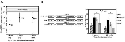 Figure 5. Regulation of the ability of STAT3-C to enhance CRU expansion in mice that underwent transplantation. (A) Transplant dose-response effect of the ability of STAT3-C to enhance the in vivo expansion of transplanted HSCs. Different numbers of Stat3-C–transduced bone marrow cells from 5-FU–pretreated Pep3b mice were transplanted into groups of B6 recipients, and then 8 weeks later the marrows of these mice were assayed in secondary mice to determine the numbers of GFP+ CRUs that had been regenerated in the primary mice. Primary mice were estimated to have received 1 (1x), 5 (5x), or 50 (50x) GFP+ CRUs based on results of other experiments. Values shown are the mean ± 2 SEM for the total number of regenerated Stat3-C–transduced CRUs per primary mouse. The hatched area indicates the total number of CRUs present in a normal B6 mouse. (B) Effects of different mutations of the Ser727 residue of STAT3-C on the repopulating activity of transduced CRUs. 5-FU–enriched bone marrow cells (105) were transduced with MIG, Stat3-C, or a mutant STAT3-C containing either an Asp (CSD) or Ala (CSA) residue instead of Ser727. The cells were then transplanted into irradiated recipients, and the proportion of GFP+ WBCs was determined at the times shown. Values shown are the mean ± SEM from 2 independent experiments (5 mice per group for each experiment). The average gene-transfer efficiencies in these experiments were 80%, 73%, 73%, and 76%, respectively, for MIG, Stat3-C, CSA, and CSD.