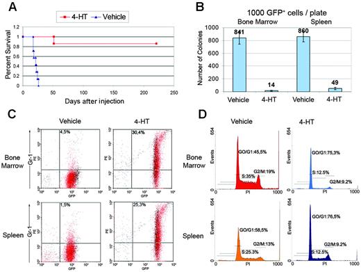Figure 6. Effect of C/EBPα activation on mice injected with 32D-BCR/ABLT315I cells. (A) Survival of mice injected with Δ177-191 C/EBPα-ERTAM 32D-BCR/ABLT315I cells (105 cells/mouse) and treated 2 days later with vehicle only or with 4-HT (1 mg/d for 15 consecutive days). (B) Methylcellulose colony formation assays, (C) Gr-1 immunostaining, and (D) DNA content of GFP-positive cells isolated from bone marrow and spleen of mice injected with Δ177-191 C/EBPα-ERTAM 32D-BCR/ABL cells (105 cells/mouse) and treated 14 days later with vehicle only or with 4-HT (1 mg/12 hours, for 3 injections). Colony number values represent mean ± SD of 3 different experiments.