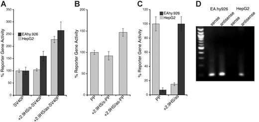 Figure 5. Functional characterization of +2.9HS. (A-B) Enhancer function of the +2.9HS. The sense (+2.9HS/s) and antisense (+2.9HS/as) sequences of +2.9HS were coupled to either the SV40P (A) or the hEPCR PP (B). Normalized reporter gene activity obtained following transfection of constructs into EA.hy926 (▦) and HepG2 (▪) cells are presented, ± SEM (n = 6). (C) Promoter function of +2.9HS/as compared with that of PP in EA.hy926 and HepG2 cells. +2.9HS/as and PP were cloned upstream of a reporter gene in a construct without any other promoter. Normalized reporter gene activity is presented relative to that of PP in EA.hy926 cells, ± SEM (n = 6). (D) Detection of antisense hEPCR transcripts. RT-PCR was performed on total RNA from EA.hy926 or HepG2 cells using strand-specific primers that specifically amplified transcripts spanning hEPCR exons 1 and 2. Nested PCR and electrophoresis was used to visualize amplified sequences. The identity of the amplified RNA transcripts (sense and antisense) was confirmed by sequencing.