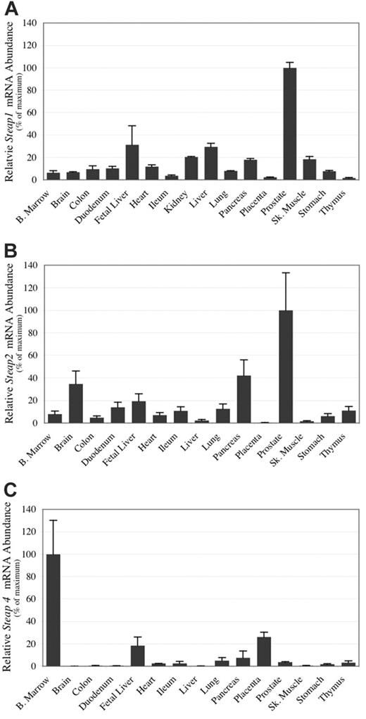 Figure 2. Steap mRNA expression in human tissues by quantitative real-time PCR. Quantitative real-time PCR was carried out using human cDNA samples. Products are normalized to β-actin for each tissue and adjusted to a percent of the maximum value obtained for that tissue. (A) Steap1 mRNA expression; (B) Steap2 mRNA expression; (C) Steap4 mRNA expression. Each cDNA sample was amplified 3 times. Error bars represent ± 1 standard deviation (SD).