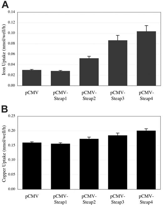 Figure 6. Iron and copper uptake in HEK-293T cells expressing Steap family members. (A) Total iron uptake measured in cells overexpressing Steap family members. (B) Total 64Cu-copper uptake measured in cells overexpressing Steap family members. n = 4 for each result in both panels. Error bars represent ± 1 SD.