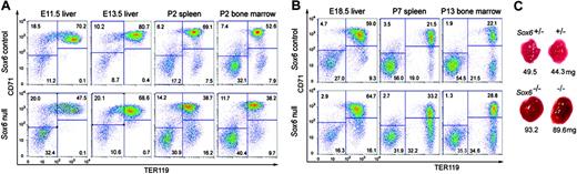 Figure 2. Sox6–/– mice show abnormal development of erythropoietic tissues. (A) CD71/TER119 FACS profiles of control and Sox6–/– erythropoietic tissues during their first wave of erythropoiesis. Four subpopulations are distinguished: CD71neg/lowTER119– early erythroid and nonerythroid cells; CD71med/highTER119low proerythroblasts; CD71highTER119+ early erythroblasts; and CD71med-lowTER119+ late erythroblasts. The percentage of cells in each subpopulation is indicated. (B) CD71/TER119 FACS profiles of erythropoietic tissues beyond their first wave of erythropoiesis. (C) Pictures and weight of representative newborn control and mutant mouse livers. All mice had similar body weight.