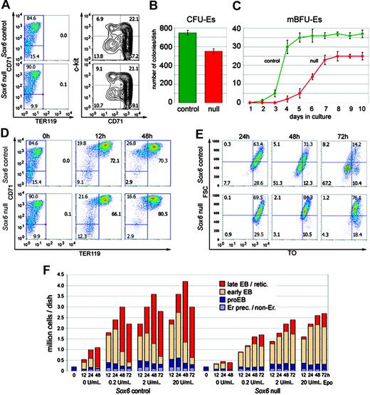Figure 4. Sox6–/– erythroid populations show impaired expansion and maturation in vitro. (A) CD71/TER119 and c-kit/CD71 FACS profiles of magnetically sorted TER119– liver cells from E14.5 control and Sox6–/– littermates. (B) CFU-E assay using control and Sox6–/– TER119– sorted cells. Data are presented as average with standard deviation of quadruplicates in a representative experiment. (C) Mature BFU-E assay in the same experiment as in panel B. (D) CD71/TER119 FACS profiles of control and Sox6–/– erythroid cells cultured on fibronectin with 2 U/mL Epo for 0, 12, and 48 hours. (E) Forward scatter (FSC)/TO FACS profiles of TER119+ cells from similar cultures as in panel D. (F) Graph combining cell counts and data from CD71/TER119 and FSC/TO FACS analysis for similar cultures as in panels E and F, maintained for 0 to 72 hours. Erythroid precursors/nonerythroid cells (Er prec/non-Er) are CD71–/TER119–; proerythroblasts (proEB) are CD71+/TER119–; early erythroblasts (EB) are TER119+and FSChigh and/or TOhigh; late erythroblasts/reticulocytes (retic) are TER119+/FSClow/TOlow.