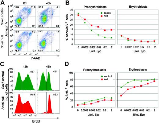 Figure 5. Sox6–/– erythroid cells have decreased survival and proliferation rates in vitro. (A) AnnV/7-AAD FACS profiles of control and Sox6–/– erythroid cells cultured on fibronectin with 0.2 U/mL Epo for 12 and 48 hours. The quadrants in each plot correspond to live cells (AnnV–/7-AAD–), apoptotic cells (AnnV+/7-AAD–), dead cells (AnnV+/7-AAD+), and necrotic cells (AnnV–/7-AAD+). (B) Graphs showing the percentages of apoptotic (AnnV+/7-AAD–) proerythroblasts and erythroblasts in cell cultures on fibronectin for 12 hours with the indicated concentrations of Epo. (C) BrdU incorporation assay in control and Sox6–/– erythroid cells cultured on fibronectin with 0.2 U/mL Epo for 12 hours and 48 hours. The percentages of BrdU+ cells are indicated. (D) Graphs showing the percentages of BrdU+ proerythroblasts and erythroblasts in cell cultures on fibronectin for 12 hours with the indicated concentrations of Epo.