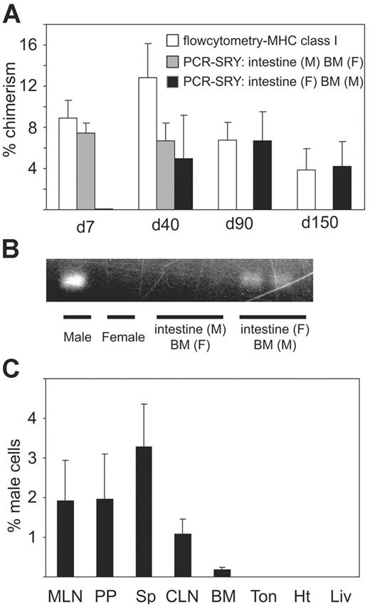 Figure 2. Origin of donor cells in peripheral blood after BN-to-LEW BM plus intestine transplantation. (A) Peripheral blood chimerism in female recipients of male BM plus female intestine or female BM plus male intestine grafts was analyzed by flow cytometry (BN MHC class I) and quantitative real-time Y-chromosome PCR. Results demonstrated that most donor cells in the blood at 7 days after transplantation consisted of passenger leukocytes from intestine allografts. However, intestine graft–derived cells disappear by day 90. In contrast, BM-derived donor cells gradually increased, and almost all donor cells were of infused BM origin at day 90 and day 150; n = 3 to 4 for each group. (B) PCR analysis of PBMCs with primers for SRY at day 150. When female BN intestine and male BN BM were transplanted into female LEW recipients, male DNA band was identified. On the other hand, transplantation of male intestine and female BM resulted in undetectable SRY band in the blood at day 150, while flow cytometry detected 3.9% donor cells, suggesting that macrochimeric donor cells at day 150 were mainly derived from infused donor BM cells. Blot is representative of 2 independent experiments from 3 to 4 rats per group. (C) Real-time PCR analysis for SRY in various female LEW host organs at day 150 after female BN intestine and male BN BM transplantation. Male DNA derived from BN BM was mainly found in graft GALT (PP and MLN), cervical lymph node (CLN), and host spleen (Sp). Very few infused BM-derived cells were found in host heart (Ht), liver (Liv), tongue (Ton), or bone marrow (BM); n = 3 for each group.