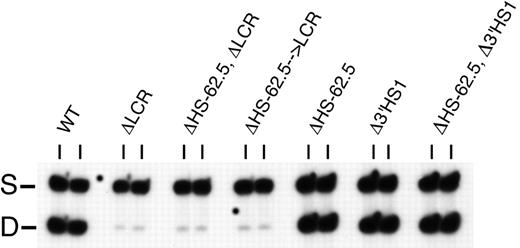 Figure 2. Expression of the adult β-globin genes in mice heterozygous for targeted deletions. The HbbD allele (D) carries the targeted mutation, while the HbbS allele (S) is wild-type. Pools of 100 reticulocytes were isolated from peripheral blood by flow cytometry and analyzed by RT-PCR with primers that amplify both adult genes from both alleles. Analysis of 2 representative independent pools is shown for each mouse strain. WT indicates wild-type D/S animals. Other strain designations are described in “Results.” S and D mark the RT-PCR product from the S and D alleles, respectively.