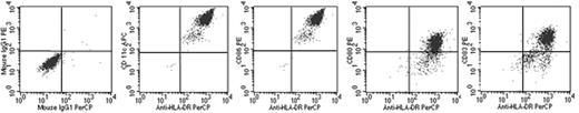 Figure 1. CMV-IC-loaded CB DCs exhibit a potent T-cell stimulatory profile. Surface immunophenotype of day 7 Mo/DCs about 36 hours after loading with CMV lysate immune complex (CMV-IC) and subsequent maturation in PGE2 plus TNF-α. Representative of 6 independent experiments. Presented data were gated on forward/side scatter (FSC/SSC) high cellular events conforming to DCs.
