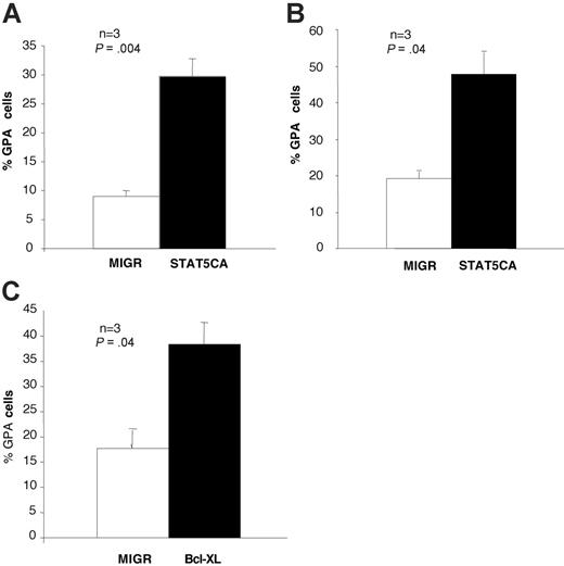 Figure 1. STAT5 and Bcl-xL can induce erythroid differentiation. (A) A constitutively active form of STAT5 induced erythroid differentiation in UT7 cells. UT7 cells were transduced either with the empty retrovirus MIGR or with the retrovirus coding for a constitutively phosphorylated STAT5 (STAT5CA). After cell sorting according to GFP expression, cells were cultured in the presence of GM-CSF, without Epo. GpA expression was monitored by flow cytometry at day 4 after retrovirus infection. In the cells expressing STAT5CA, the percentage of GpA+ cells was much greater than in UT7 transduced with the empty vector (MIGR: 9% ± 1%; STAT5CA: 30% ± 3%; n = 3; Student t test: P = .004). (B) STAT5CA expression in human primary progenitors induced Epo-independent terminal erythroid differentiation. CD34+ cells from PB were cultured in the presence of Epo, SCF, IL-3, and DXM and then transduced twice with the different retroviral vectors (MIGR or STAT5CA). Transduced CD36+/GpA- cells were sorted at day 6 and cultured in the presence of SCF without Epo. Flow cytometry analysis showed 48 hours later that the percentage of GpA+ cells was higher with STAT5CA (48% ± 6%) than with the empty vector MIGR (19% ± 2%; n = 3; Student t test: P = .04). Determination of GpA expression was done using a more sensitive cell analyzer than the one used for cell sorting, and this explains why around 20% of the MIGR-transduced cells were found GpA positive. Moreover, cells transduced with the empty vector died after 48 hours of Epo removal, whereas STAT5CA-expressing cells further survived and proliferated (data not shown). (C) Bcl-xL overexpression in human primary progenitors induced GpA expression despite the absence of Epo. Primary cells were transduced either with the empty vector MIGR or with a vector coding for the Bcl-xL cDNA. Two days after cell sorting and Epo removal, 38% ± 4% of Bcl-xL-overexpressing cells were GpA positive, whereas only 18% ± 4% of cells infected with the empty vector MIGR were GpA positive (n = 3; Student t test: P = .04). Data are represented as mean ± SEM. As observed in STAT5CA-expressing cells, Bcl-xL-overexpressing cells could further proliferate and differentiate. When transduced with the empty vector, all cells died 48 hours after EPO removal.