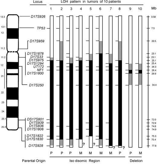 Figure 1. LOH at chromosome 17 loci in NF1-associated myeloid malignancies. Ideogram and schematic of chromosome 17 showing the loci that were screened for LOH. For each tumor, a bar shows the single chromosome 17 that underwent LOH with informative loci (tick marks), segments showing biparental inheritance (□), segments that underwent LOH (▪), segments where a recombination event occurred (), and qter segments that lacked informative loci (?). Below the schematic, the parental origin is given for the isodisomic and deleted regions for each tumor. For patients 1, 2, 3, and 8, the maternal homolog is shown with the region of paternal isodisomy indicated in black. For patients 4 through 7, the paternal homolog is shown with the region of maternal isodisomy indicated in black. LOH in patients 9 and 10 occurred by intrachromosomal deletion indicated in black. Additional chromosome 17 loci that were tested, but not informative, are not shown. Physical distances (rounded to the nearest tenth of a megabase) are based on the May 2004 assembly of the human genome (http://genome.uscs.edu), in which the length of chromosome 17 is given as 78 774 742 bp.
