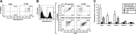 Figure 7. Phenotypic and transcriptional analysis of ES-derived erythroid cells. (A) Dissociated D7EB or D14EB cells were double-stained for α-4 integrin and glycophorin-A expression. Only viable glycophorin-A+ cells are shown. (B) Dissociated D14EBs and erythroid cells derived from SF expansion of fetal liver cells (FL), dissociated D7EBs, or dissociated D14EBs were triple-stained for glycophorin-A, α-4 integrin, and EP1 expression. Gate was set on viable glycophorin-A+ cells, as the example shown on the left. Quadrants of α-4 integrin and EP1 were set according to isotype controls of individual samples. (C) Real-time PCR analysis was performed on erythroid cells derived from the cultures of human adult bone marrow (BM) CD34+ cells (n = 2), peripheral blood (PB) mononuclear cells (n = 1), fetal liver (FL) (n = 3), or ES cells (n = 4-5). Duplicates/triplicates were analyzed for each sample. Expression levels of specific transcription factors were normalized to the expression level of β-actin of individual samples. Data from adult BM and PB were pooled together. Data are expressed as fold expression over FL-derived erythroid cells. Error bars indicate SEM. * indicates that only data of adult erythroid cells are significantly different from those of both FL- and ES-derived erythroid cells (P < .05).